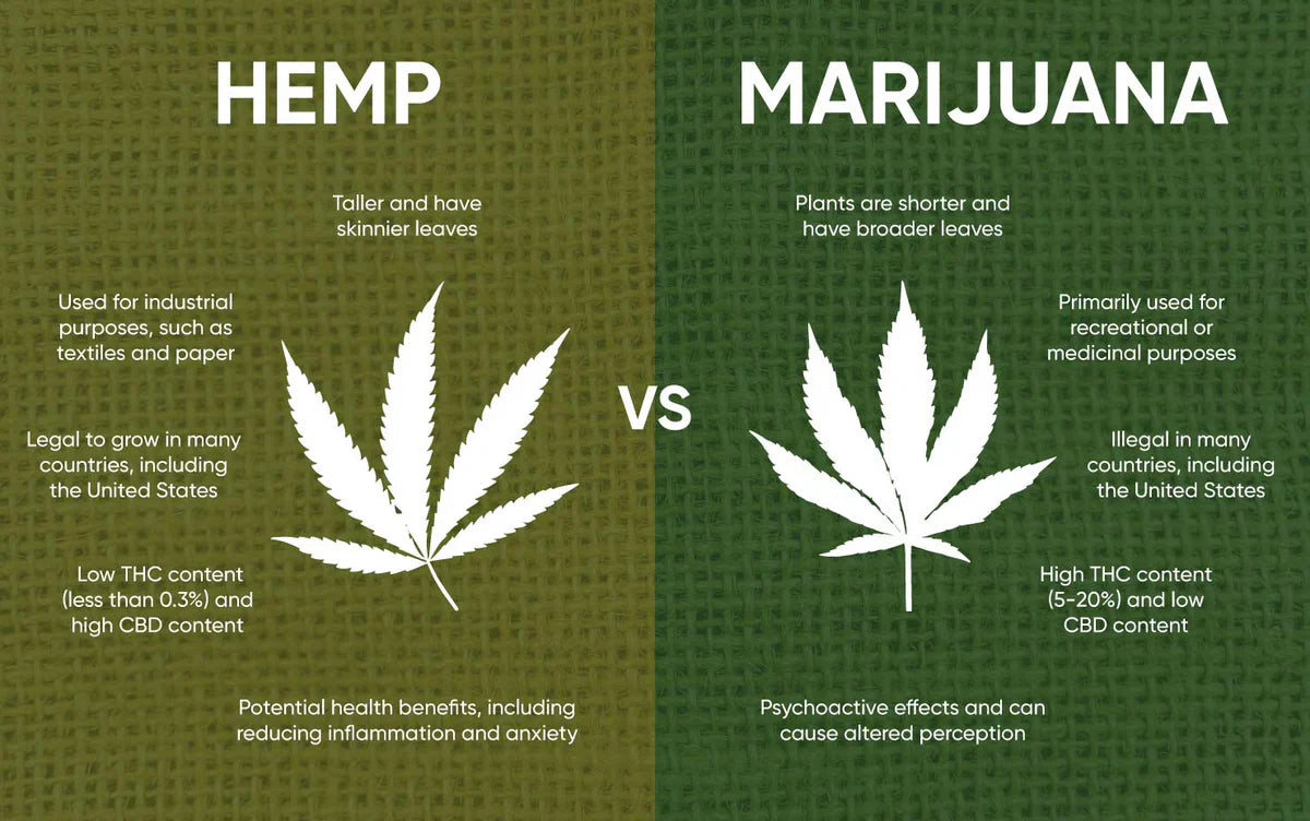 hemp vs mj